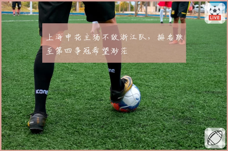 上海申花主场不敌浙江队,排名跌至第四争冠希望渺茫