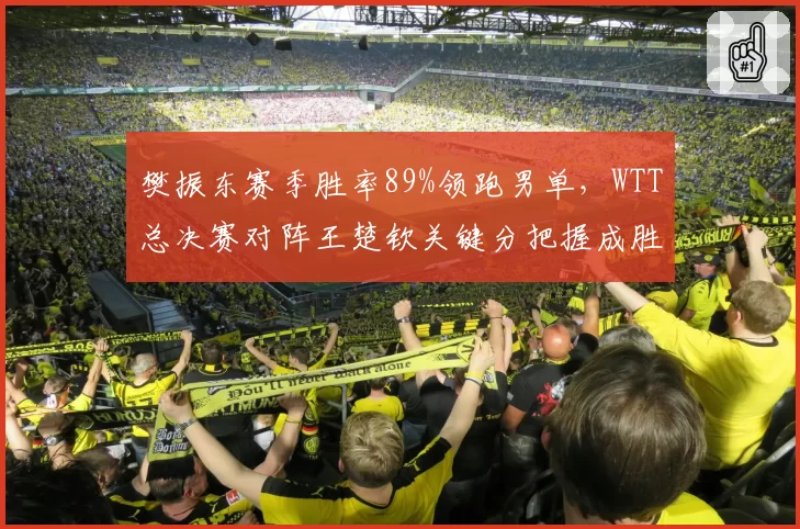 樊振东赛季胜率89%领跑男单，WTT总决赛对阵王楚钦关键分把握成胜负手